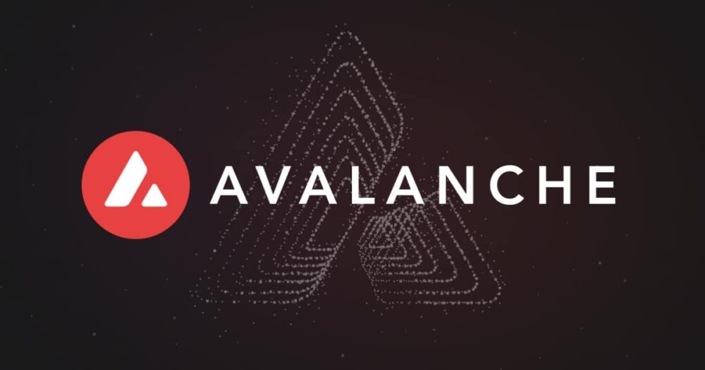 Discord of Blockchain Platform Avalanche and ZKsync Compromised